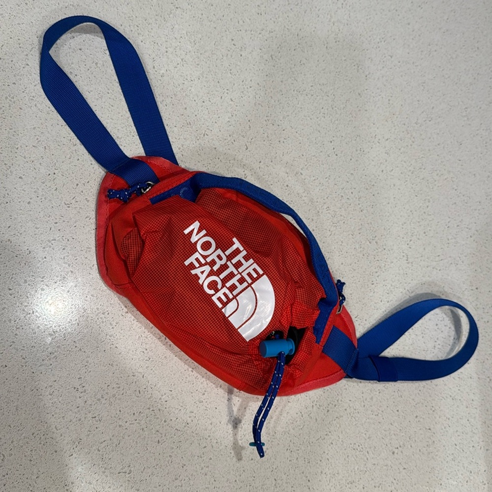 The North Face Fanny pack